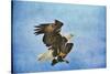 Landing Gear Bald Eagle-Jai Johnson-Stretched Canvas