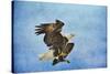 Landing Gear Bald Eagle-Jai Johnson-Stretched Canvas