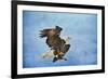 Landing Gear Bald Eagle-Jai Johnson-Framed Giclee Print