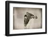 Landing Home-Nathan Larson-Framed Photographic Print