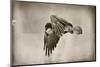 Landing Home-Nathan Larson-Mounted Photographic Print