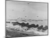 Landing on Omaha Beach-null-Mounted Photographic Print