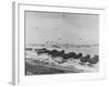 Landing on Omaha Beach-null-Framed Photographic Print