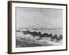 Landing on Omaha Beach-null-Framed Photographic Print