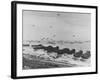 Landing on Omaha Beach-null-Framed Photographic Print