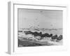 Landing on Omaha Beach-null-Framed Photographic Print