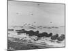 Landing on Omaha Beach-null-Mounted Photographic Print