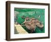 Landing Stage with Boats, c.1888-Vincent van Gogh-Framed Premium Giclee Print