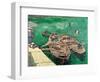 Landing Stage with Boats, c.1888-Vincent van Gogh-Framed Giclee Print