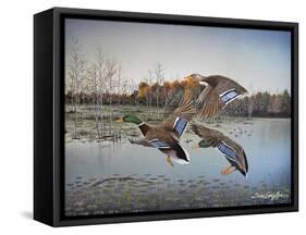 Landing Zone-Don Engler-Framed Stretched Canvas