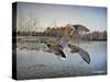 Landing Zone-Don Engler-Stretched Canvas