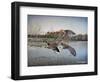 Landing Zone-Don Engler-Framed Giclee Print