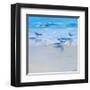 Landing-Craig Trewin Penny-Framed Art Print