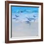 Landing-Craig Trewin Penny-Framed Art Print