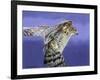 Landing-Joh Naito-Framed Giclee Print