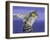 Landing-Joh Naito-Framed Giclee Print