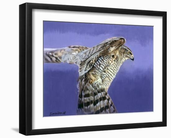 Landing-Joh Naito-Framed Giclee Print