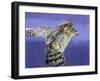 Landing-Joh Naito-Framed Giclee Print