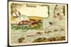 Landkarten Litho Dampfer Cobra, Nordsee, Robben-null-Mounted Giclee Print