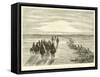 Landmarks of the Route across the Pampas to Arequipa-Édouard Riou-Framed Stretched Canvas