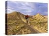 Landon Monholland Mountain Bikes on the Zippy Doo Dah Trail in Fruita, Colorado, Usa-Chuck Haney-Stretched Canvas