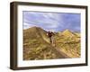 Landon Monholland Mountain Bikes on the Zippy Doo Dah Trail in Fruita, Colorado, Usa-Chuck Haney-Framed Photographic Print