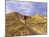 Landon Monholland Mountain Bikes on the Zippy Doo Dah Trail in Fruita, Colorado, Usa-Chuck Haney-Mounted Photographic Print