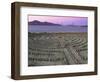 Lands End Labyrinth at Dusk with the Golden Gate Bridge, San Francisco, California-Jim Goldstein-Framed Photographic Print