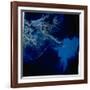 Landsat Image of Mississippi River Pouring Sediment Incl. Pollutants into Gulf of Mexico-null-Framed Photographic Print