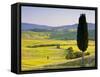 Landscale Near Pienza, Val D' Orcia, Tuscany, Italy-Doug Pearson-Framed Stretched Canvas