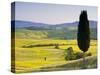 Landscale Near Pienza, Val D' Orcia, Tuscany, Italy-Doug Pearson-Stretched Canvas