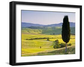 Landscale Near Pienza, Val D' Orcia, Tuscany, Italy-Doug Pearson-Framed Photographic Print