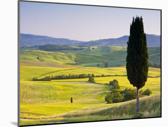 Landscale Near Pienza, Val D' Orcia, Tuscany, Italy-Doug Pearson-Mounted Photographic Print