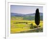 Landscale Near Pienza, Val D' Orcia, Tuscany, Italy-Doug Pearson-Framed Photographic Print