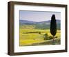 Landscale Near Pienza, Val D' Orcia, Tuscany, Italy-Doug Pearson-Framed Photographic Print