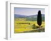 Landscale Near Pienza, Val D' Orcia, Tuscany, Italy-Doug Pearson-Framed Photographic Print