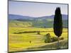 Landscale Near Pienza, Val D' Orcia, Tuscany, Italy-Doug Pearson-Mounted Photographic Print