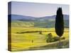 Landscale Near Pienza, Val D' Orcia, Tuscany, Italy-Doug Pearson-Stretched Canvas