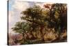 Landscape, 1805-21-John Crome-Stretched Canvas