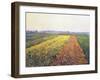 Landscape, 1848-Gustave Caillebotte-Framed Photo