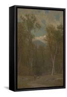 Landscape, 1886-Thomas Worthington Whittredge-Framed Stretched Canvas