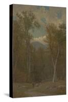 Landscape, 1886-Thomas Worthington Whittredge-Stretched Canvas