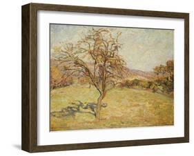 Landscape, 1890-Armand Guillaumin-Framed Giclee Print