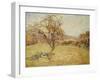 Landscape, 1890-Armand Guillaumin-Framed Giclee Print