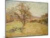 Landscape, 1890-Armand Guillaumin-Mounted Giclee Print