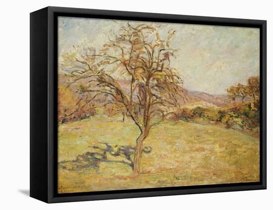 Landscape, 1890-Armand Guillaumin-Framed Stretched Canvas