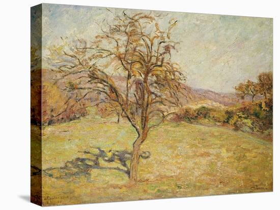 Landscape, 1890-Jean Baptiste Armand Guillaumin-Stretched Canvas