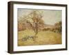 Landscape, 1890-Jean Baptiste Armand Guillaumin-Framed Giclee Print