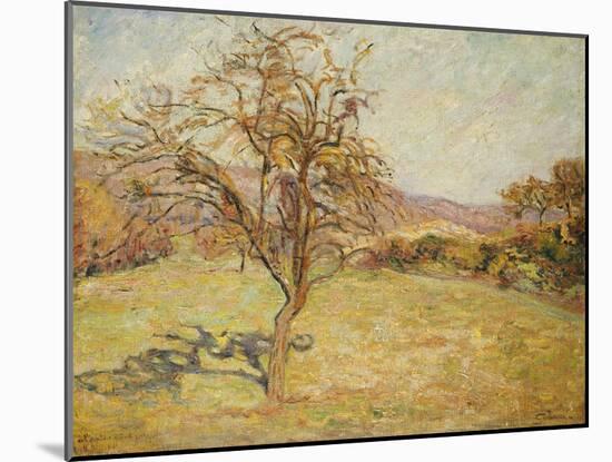 Landscape, 1890-Jean Baptiste Armand Guillaumin-Mounted Giclee Print