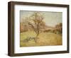 Landscape, 1890-Jean Baptiste Armand Guillaumin-Framed Giclee Print